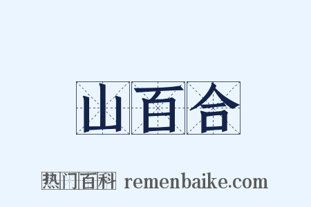 山百合是什么意思的图片